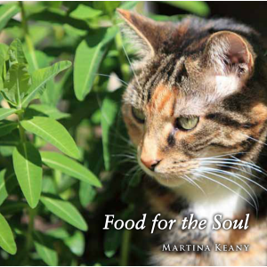 Food for the Soul CD