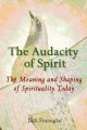 The Audacity of Spirit: The Meaning and Shaping of Spirituality Today