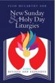 New Sunday & Holy Day Liturgies, Year B