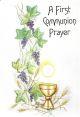 A First Communion Prayer 518535