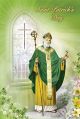 Card - St Patrick's Day 530478
