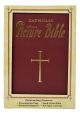 New Catholic Picture Bible (Burgundy Binding)