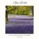 Card-Get Well-Bluebell Wood by Nibor 537363