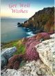 Get Well Wishes-Crown Mines, Botallack, Cornwall 537387