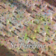 St. Peregrine CD