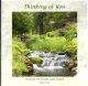 Thinking of You - Woodland Stream 537393