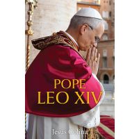 Pope Leo XIV