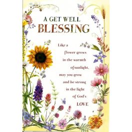 A Get Well Blessing 538244